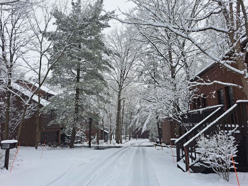 392 Hickory Lane, Westerville, OH 43081 Photo 38