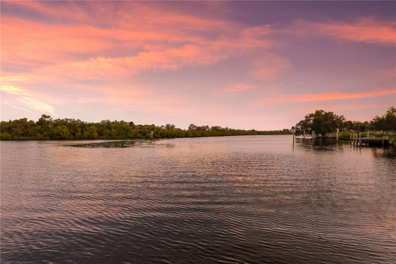 1617 Channelside Place, Parrish, FL 34219 Photo