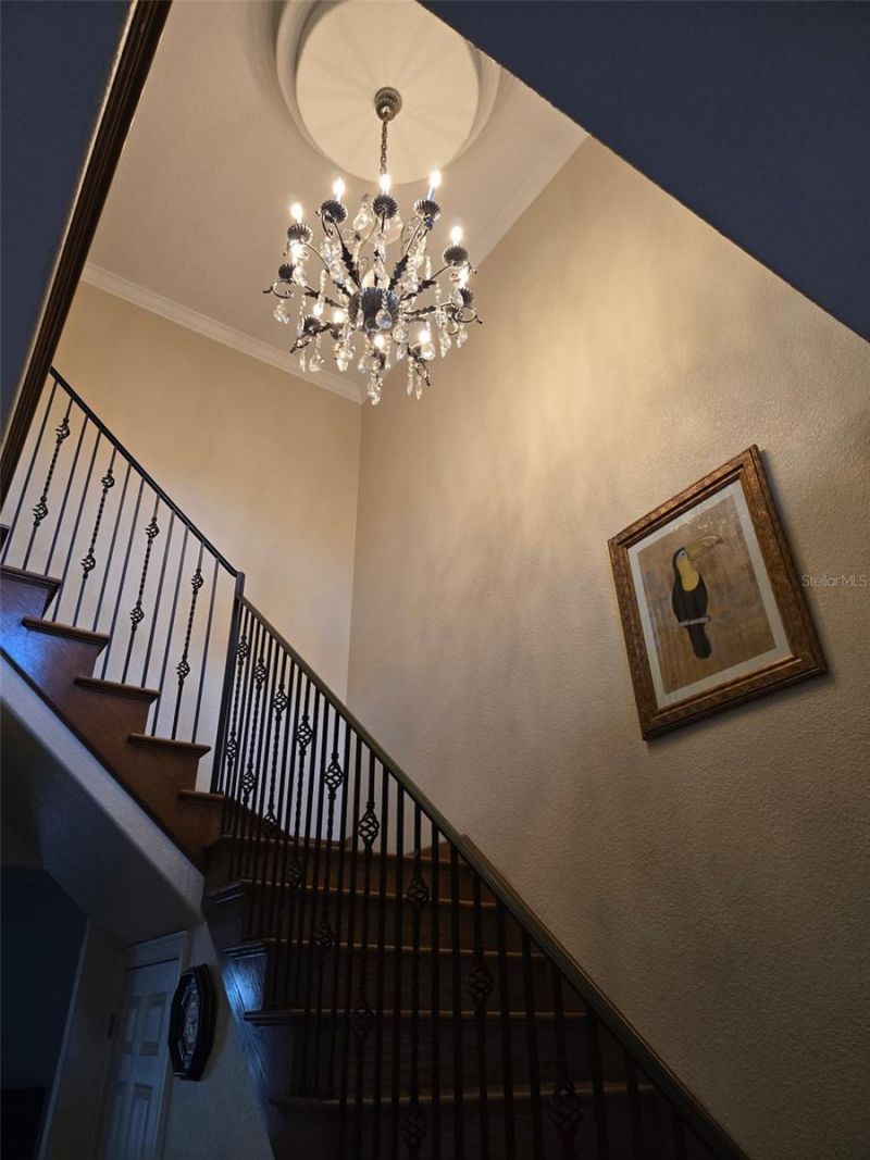 3620 Leota Drive , Apopka, FL 32703 Photo