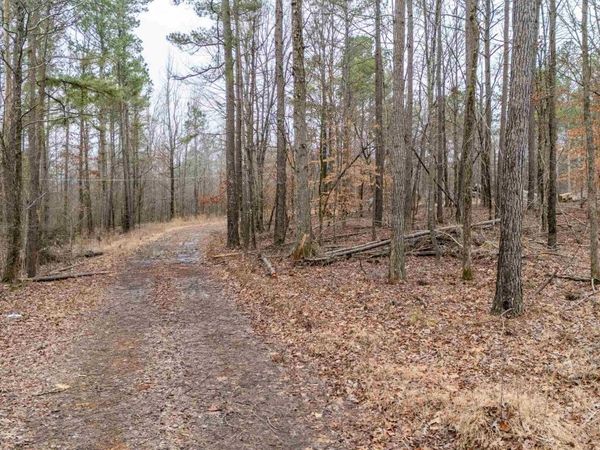 705 POST OFFICE RD, Michie, TN 38357