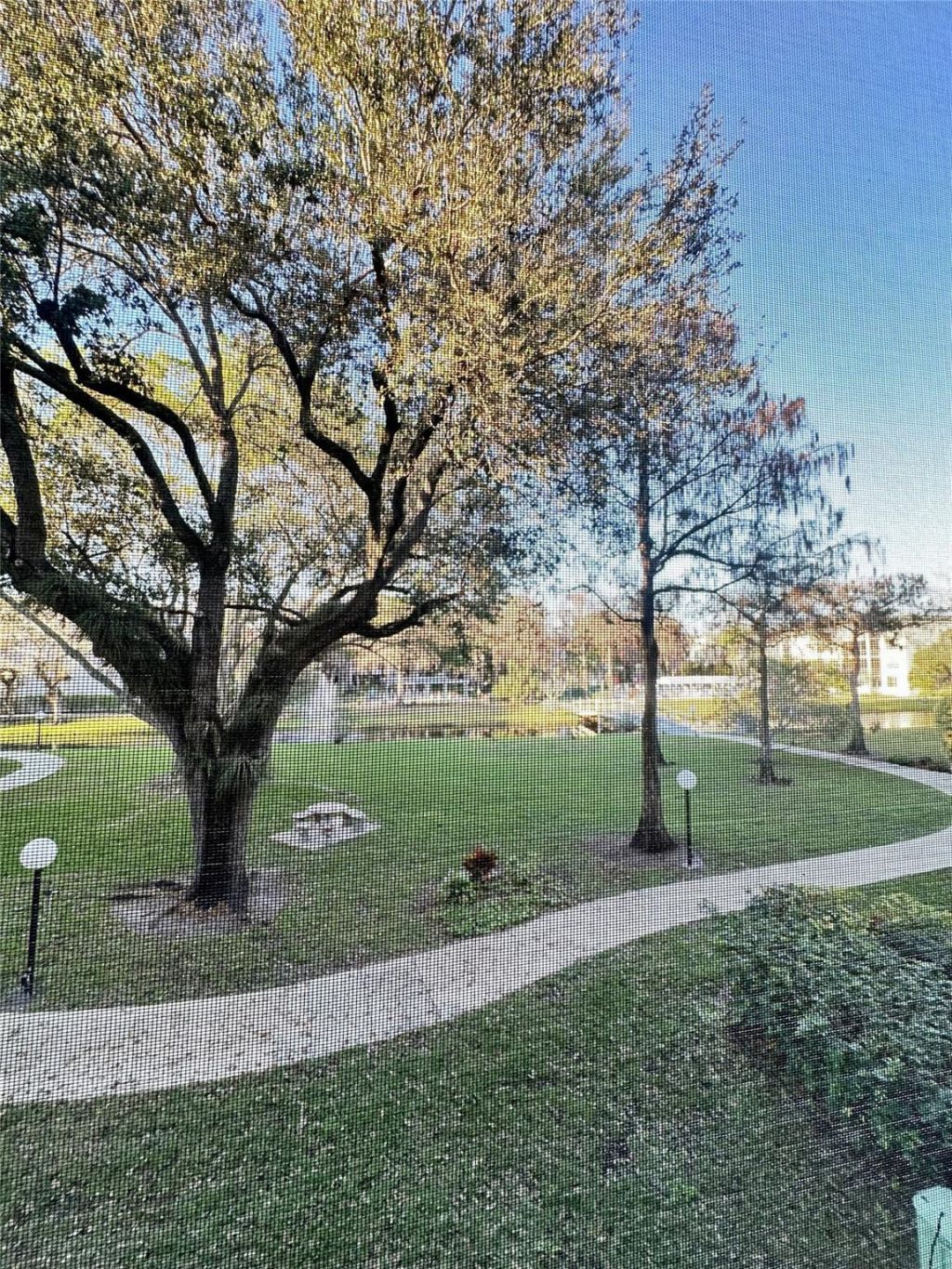 4899 NW 26th Court, Unit 249, Lauderdale Lakes, FL 33313 Photo