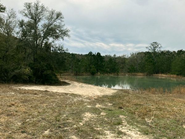 TBD 166TH PLACE LOT 6, Wellborn, FL 32094