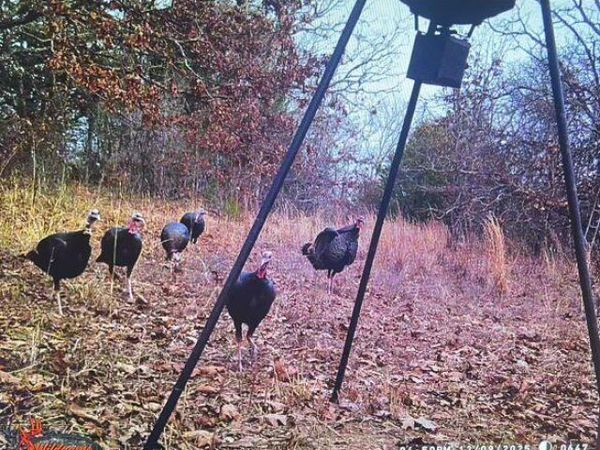 3576 Road, Seminole, OK 74868