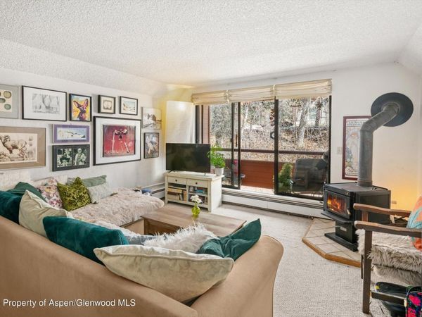 1325 Vine Street, Aspen, CO 81611