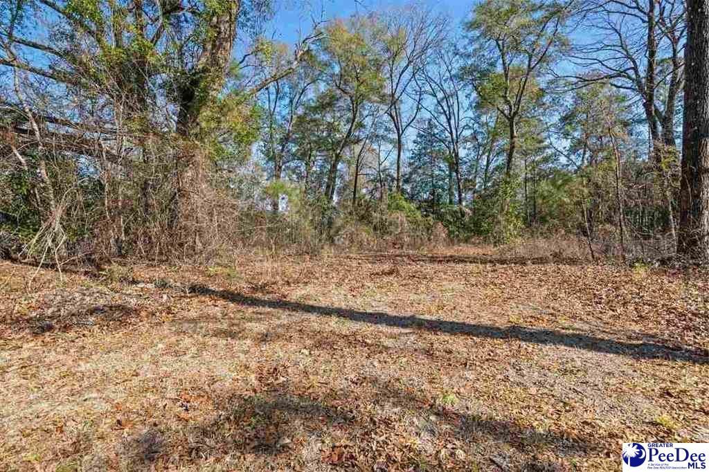 3094 Cobblestone St. Photo 33