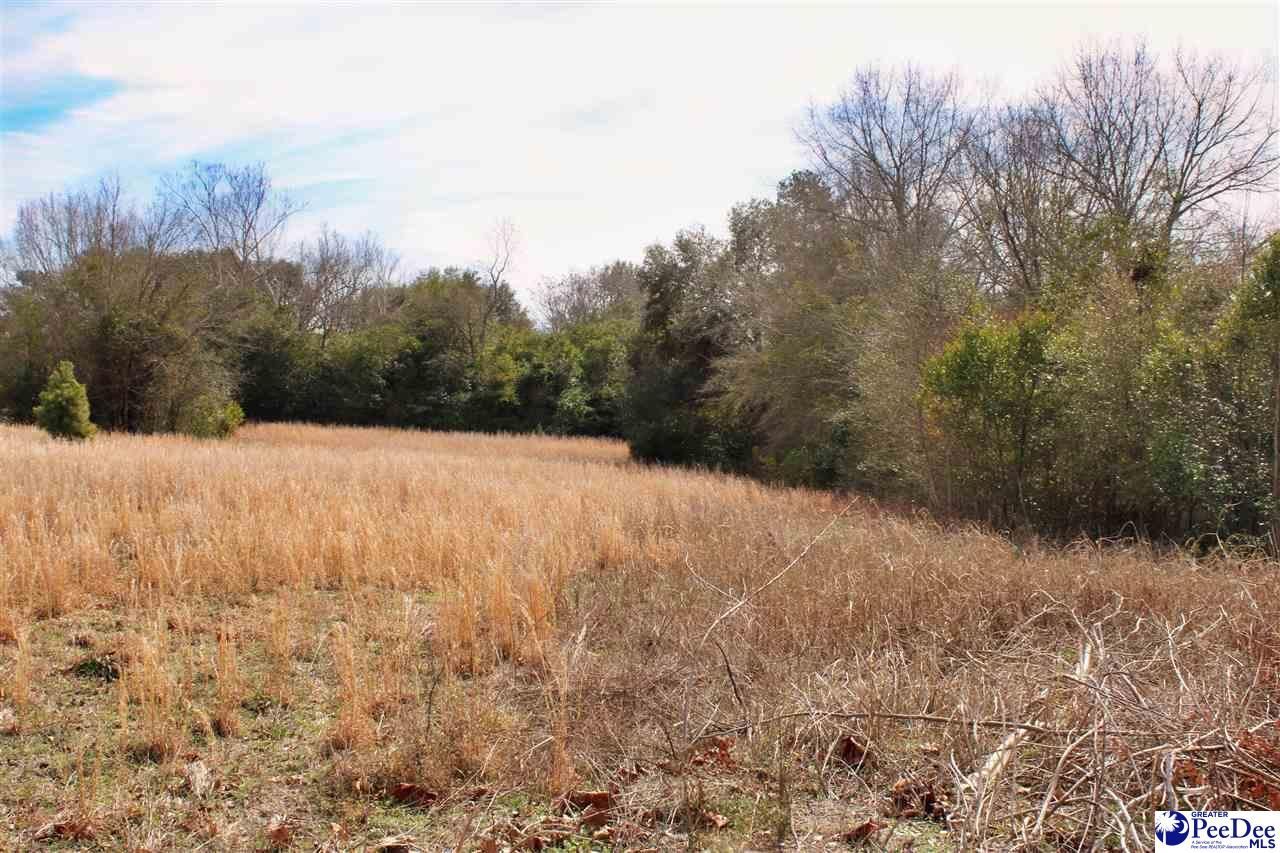 3656 Hwy 177 Photo 24