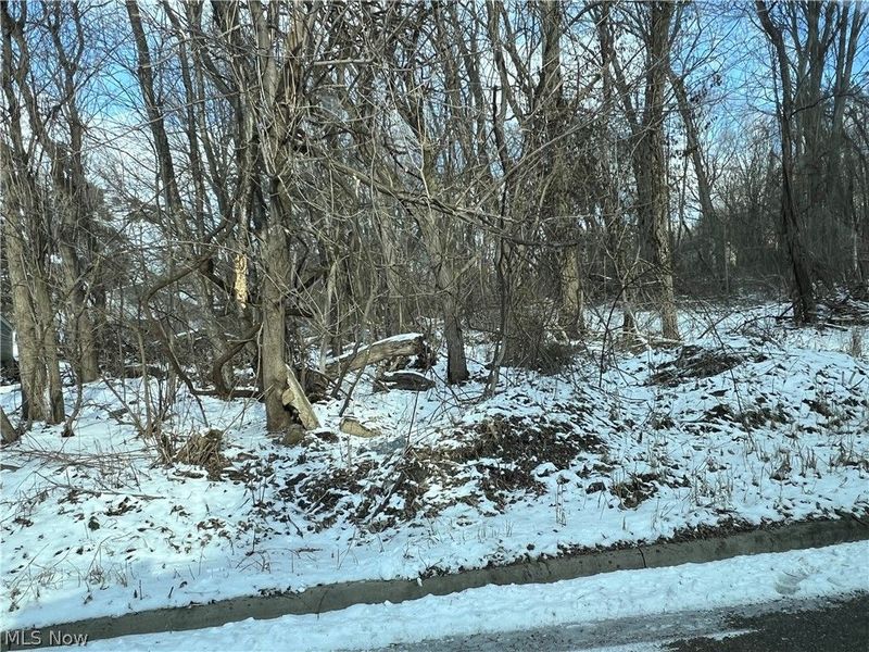 Harding Street , Struthers, OH 44471 Photo 1