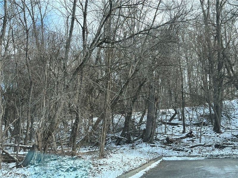 Harding Street , Struthers, OH 44471 Photo 2