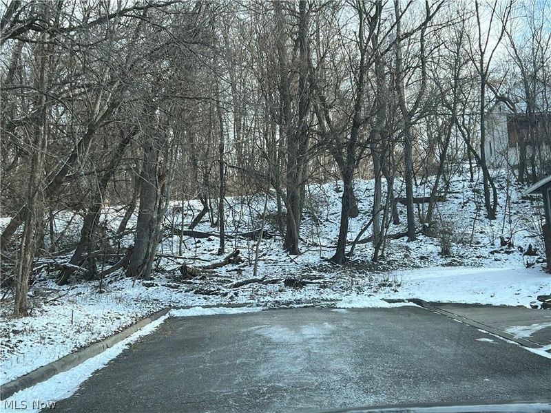 Harding Street , Struthers, OH 44471 Photo 3