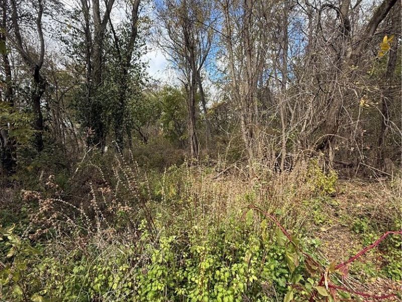 Harding Street , Struthers, OH 44471 Photo 4