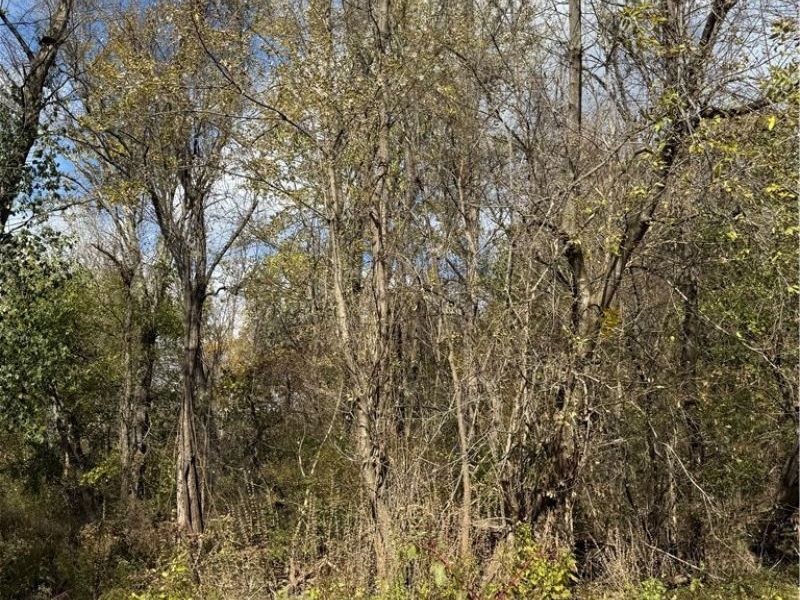 Harding Street , Struthers, OH 44471 Photo 5