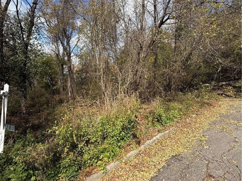 Harding Street , Struthers, OH 44471 Photo 7