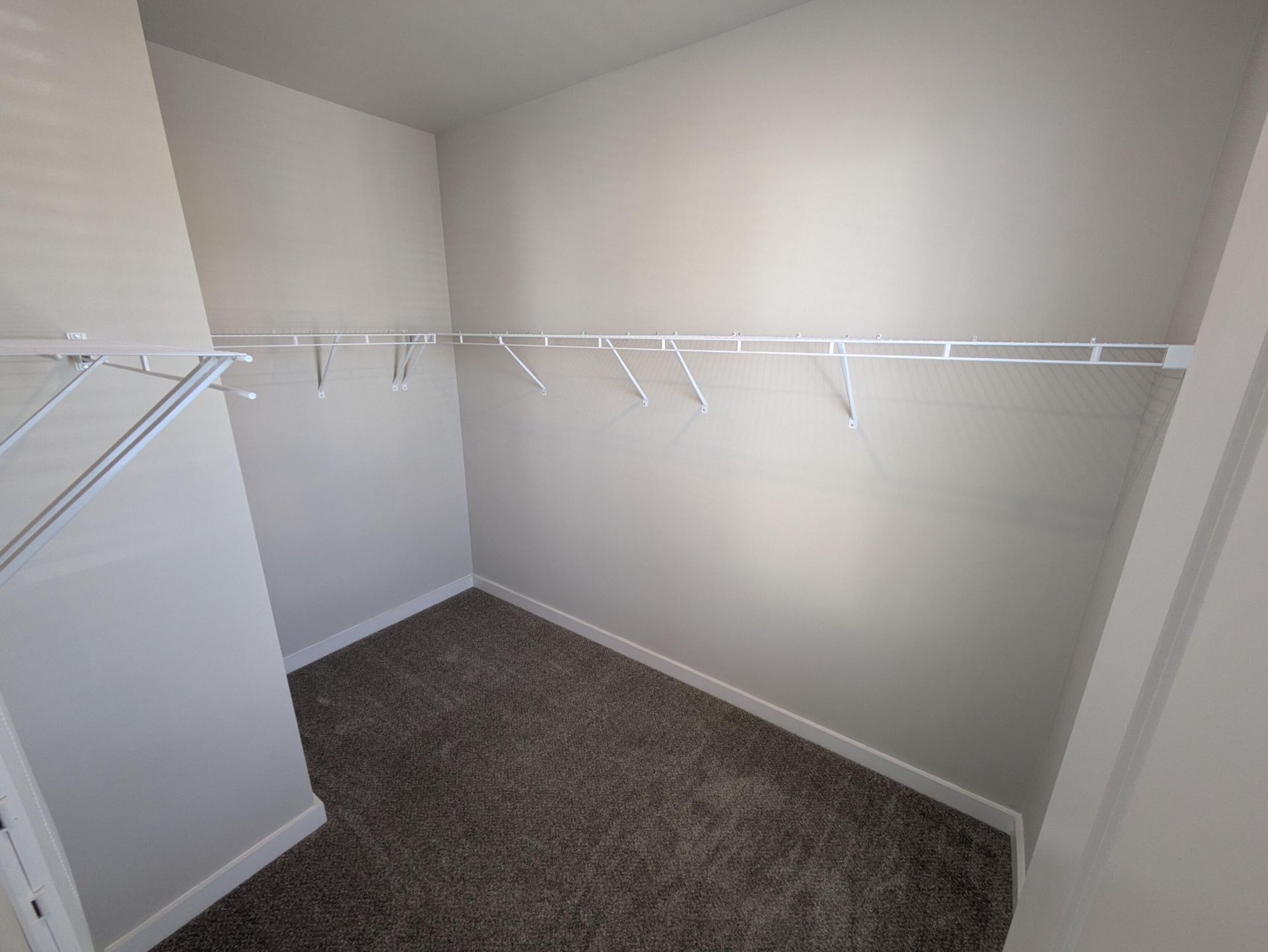 1005 Swamp Harrier Avenue Photo 14