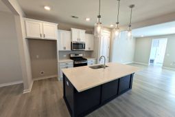 1005 Swamp Harrier Avenue photo 4