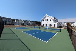 1005 Swamp Harrier Avenue photo 4