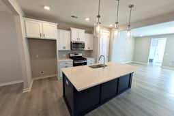 1005 Swamp Harrier Avenue photo 4