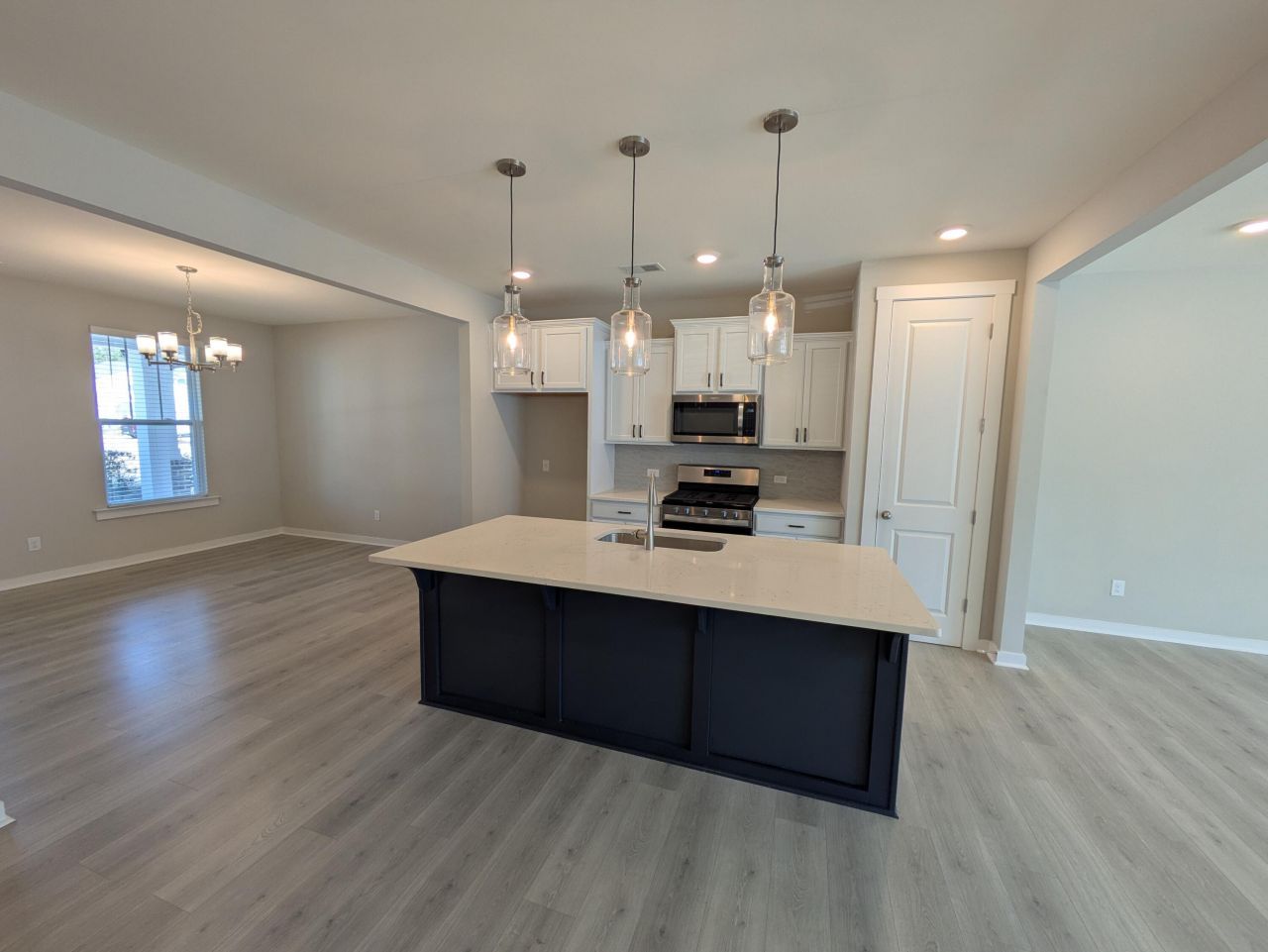 1005 Swamp Harrier Avenue Photo 4