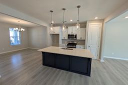 1005 Swamp Harrier Avenue photo 4