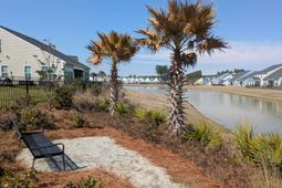 1005 Swamp Harrier Avenue photo 4