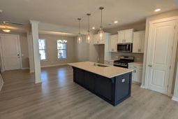 1005 Swamp Harrier Avenue photo 4