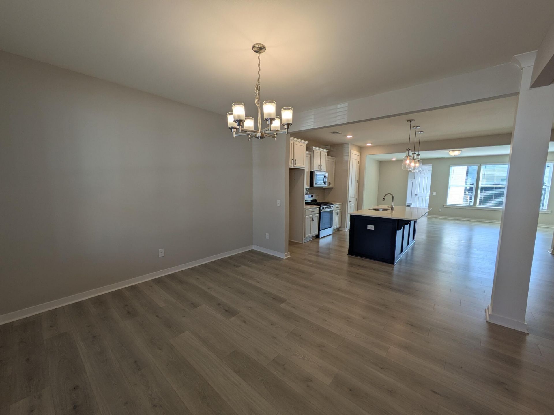 1005 Swamp Harrier Avenue Photo 5