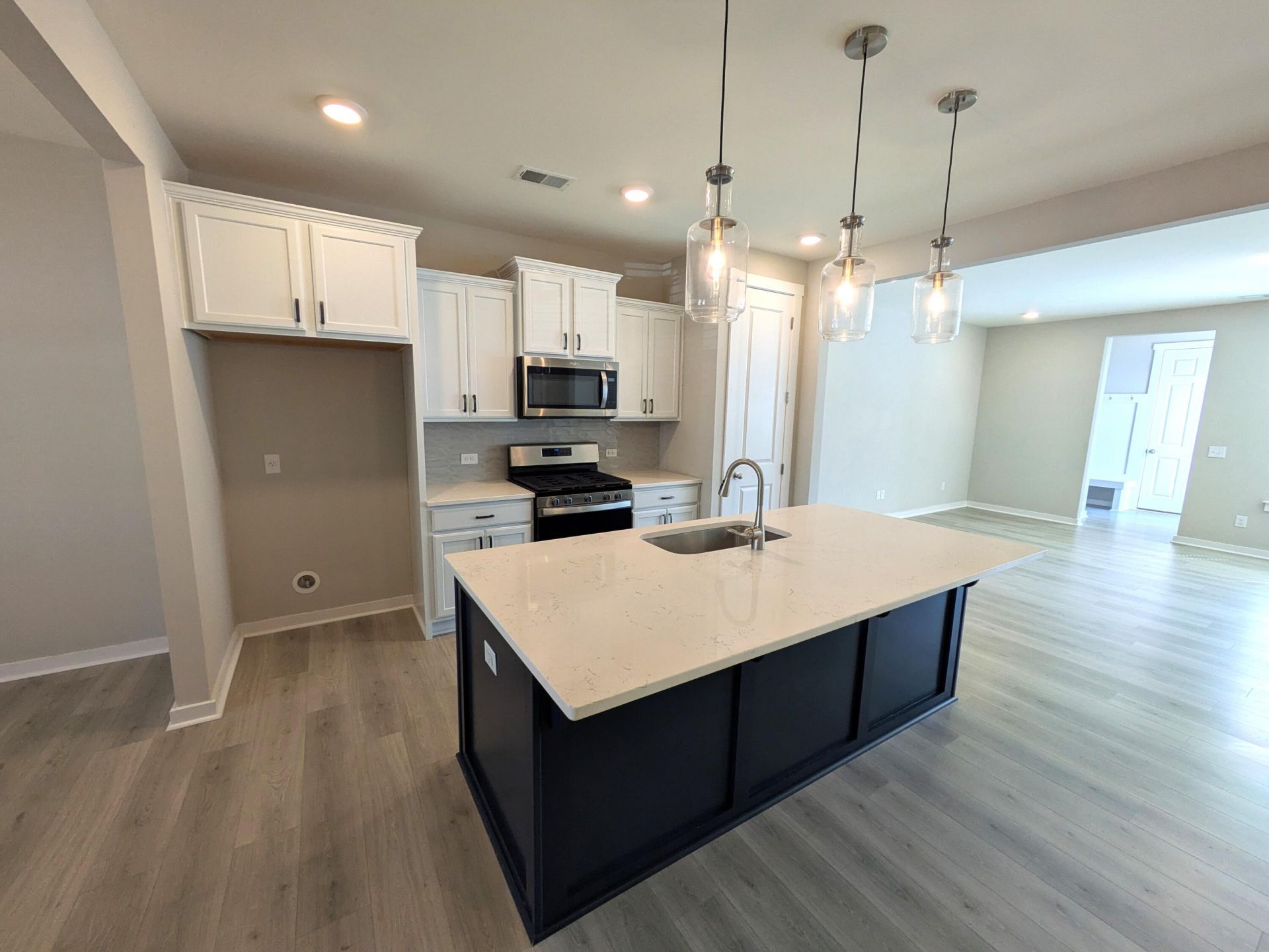 1005 Swamp Harrier Avenue Photo 6