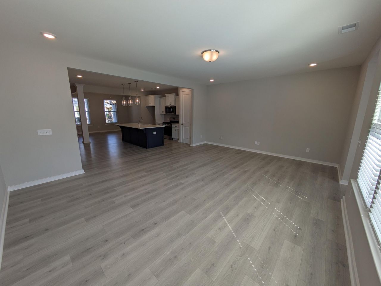 1005 Swamp Harrier Avenue Photo 8