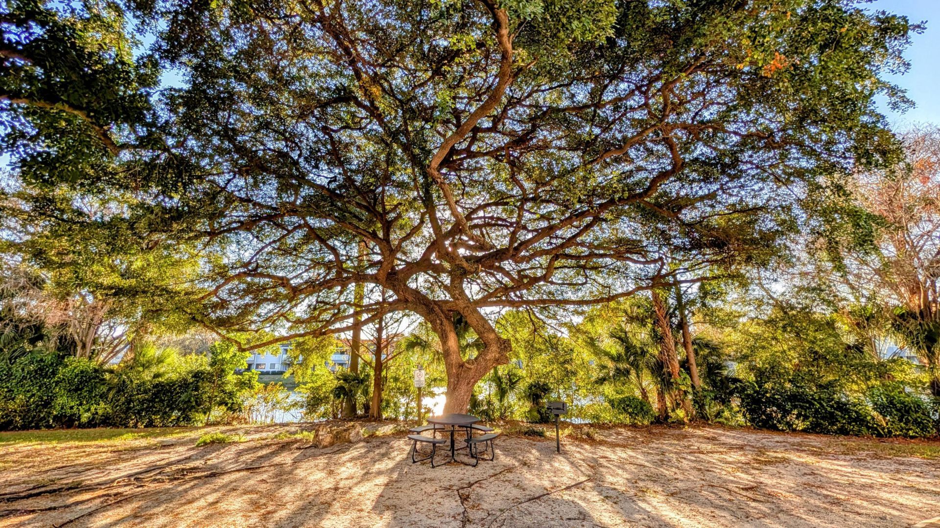 2319 N Congress Avenue, Unit 28, Boynton Beach, FL 33426 Photo