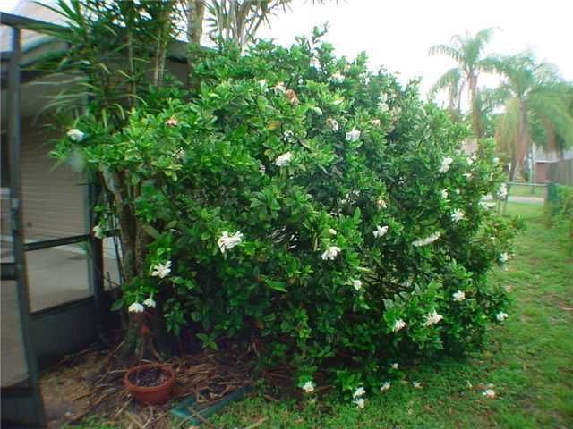 5664 Pebble Brook Lane, Boynton Beach, FL 33472 Photo