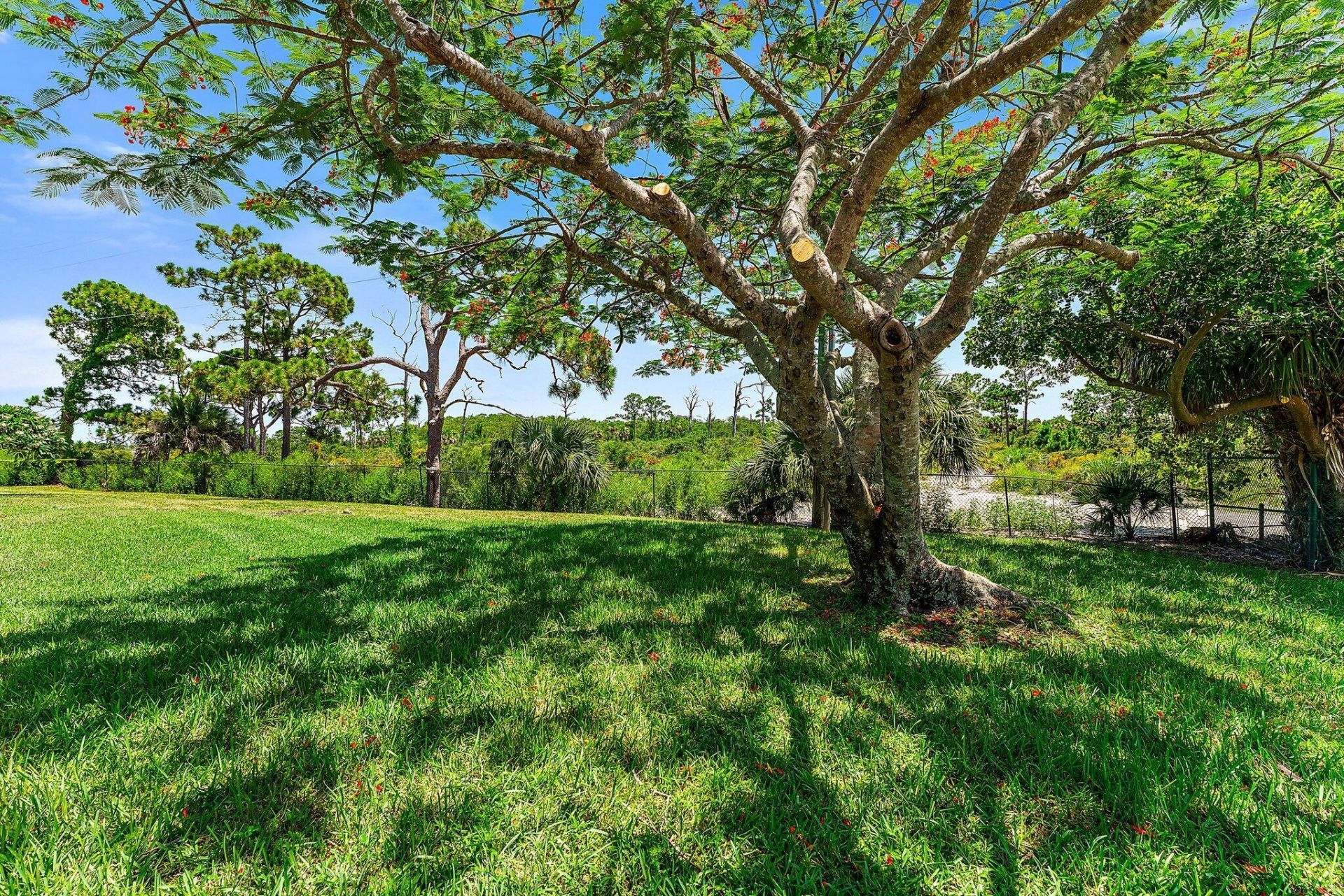 2320 23rd Court, Jupiter, FL 33477 Photo