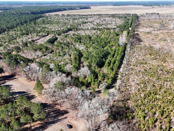 0 Indian Hill Road, Willard, NC 28478