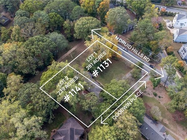 1141 Goodwin Place NE, Brookhaven, GA 30319