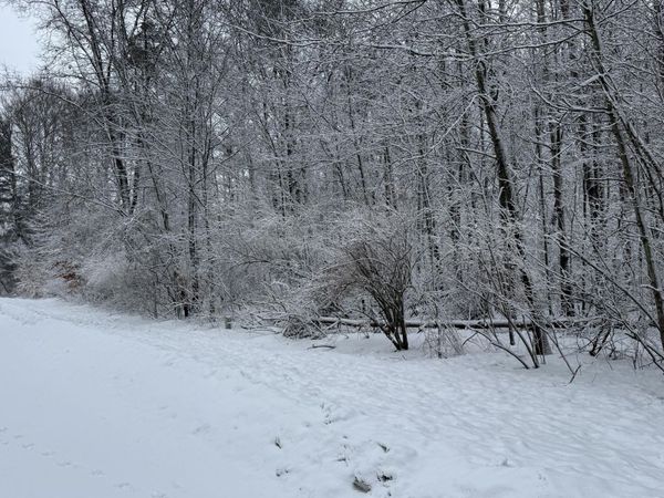 6416 S Taylor Road, Branch, MI 49402