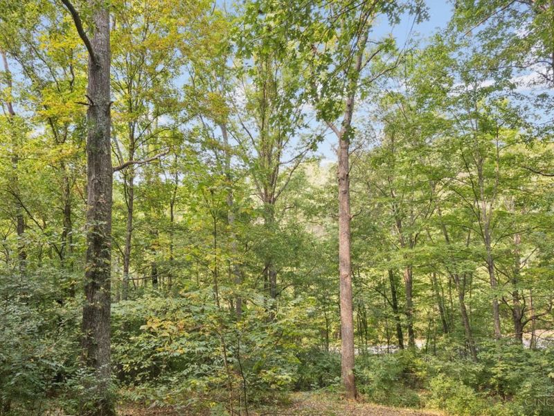 2908 Pond Run Road, Pierce Twp, OH 45157 Photo 28