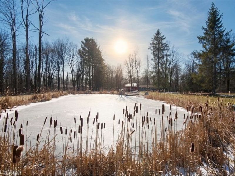 11180 Whitewood Drive, Newbury, OH 44065 Photo 10