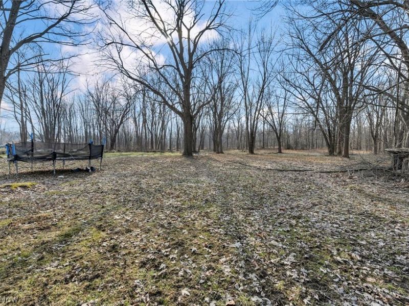 54 Park Road, Painesville, OH 44077 Photo 36