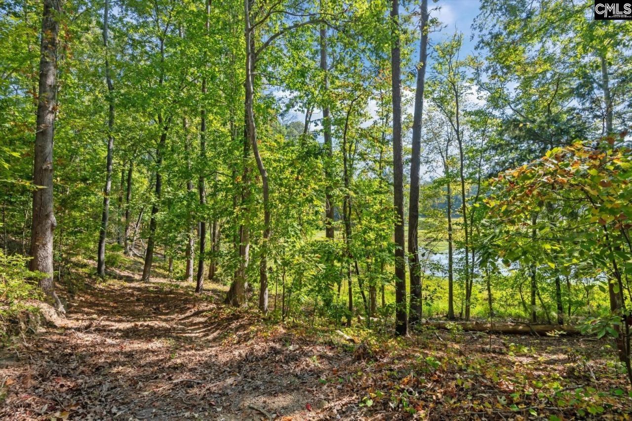 573 Canasta Drive  Photo 28