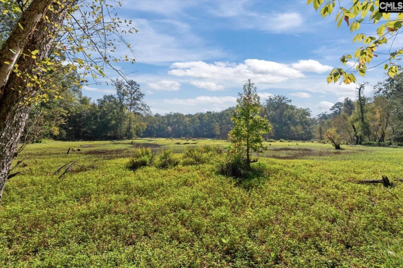 573 Canasta Drive  Photo 29