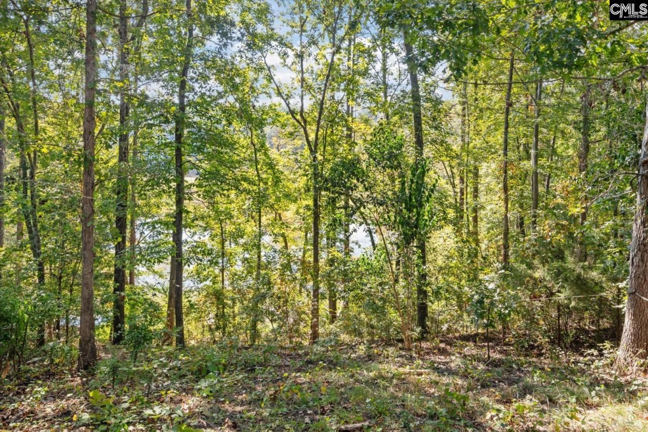 573 Canasta Drive  Photo 37