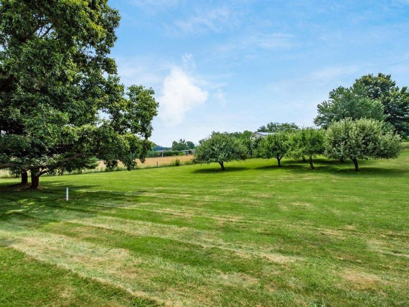 15745 Lower Fredericktown Amity Road, Fredericktown, OH 43019 Photo 51