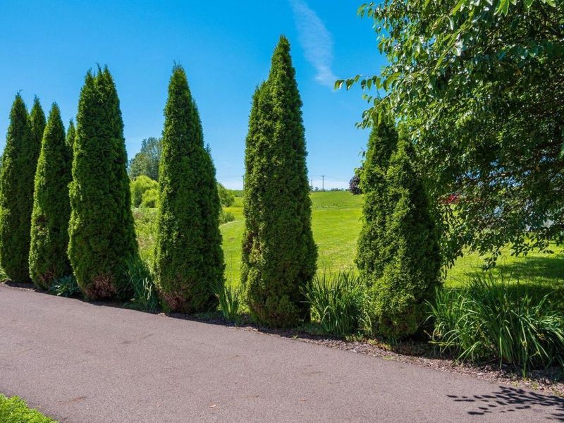 15745 Lower Fredericktown Amity Road, Fredericktown, OH 43019 Photo 76