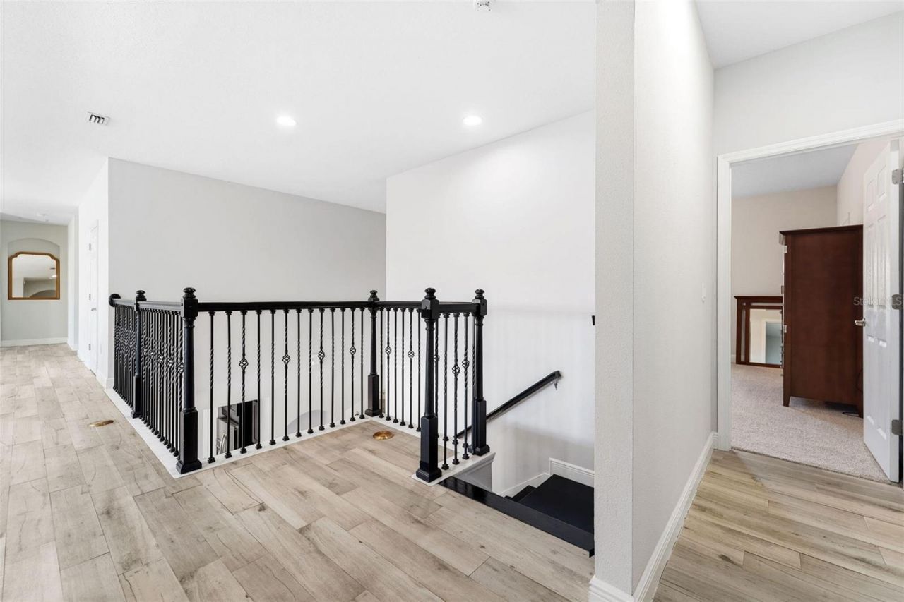 302 Coco Plum Court, Oldsmar, FL 34677 Photo