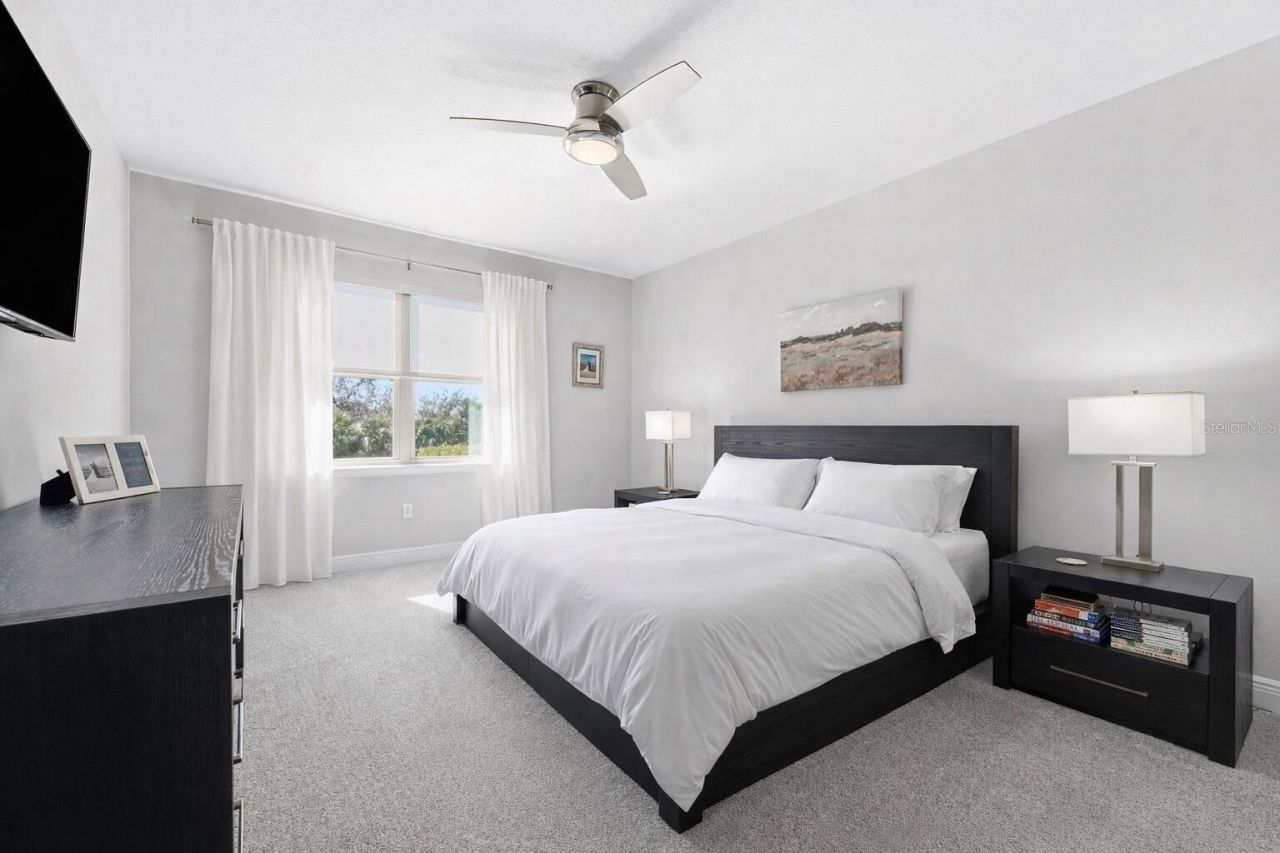 302 Coco Plum Court, Oldsmar, FL 34677 Photo