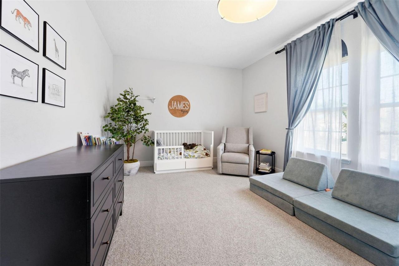 302 Coco Plum Court, Oldsmar, FL 34677 Photo