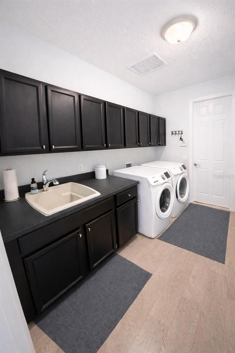 302 Coco Plum Court, Oldsmar, FL 34677 Photo