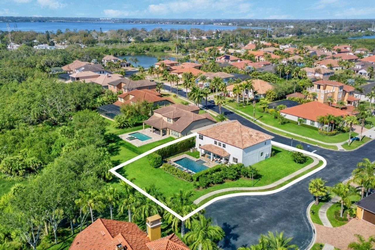 302 Coco Plum Court, Oldsmar, FL 34677 Photo