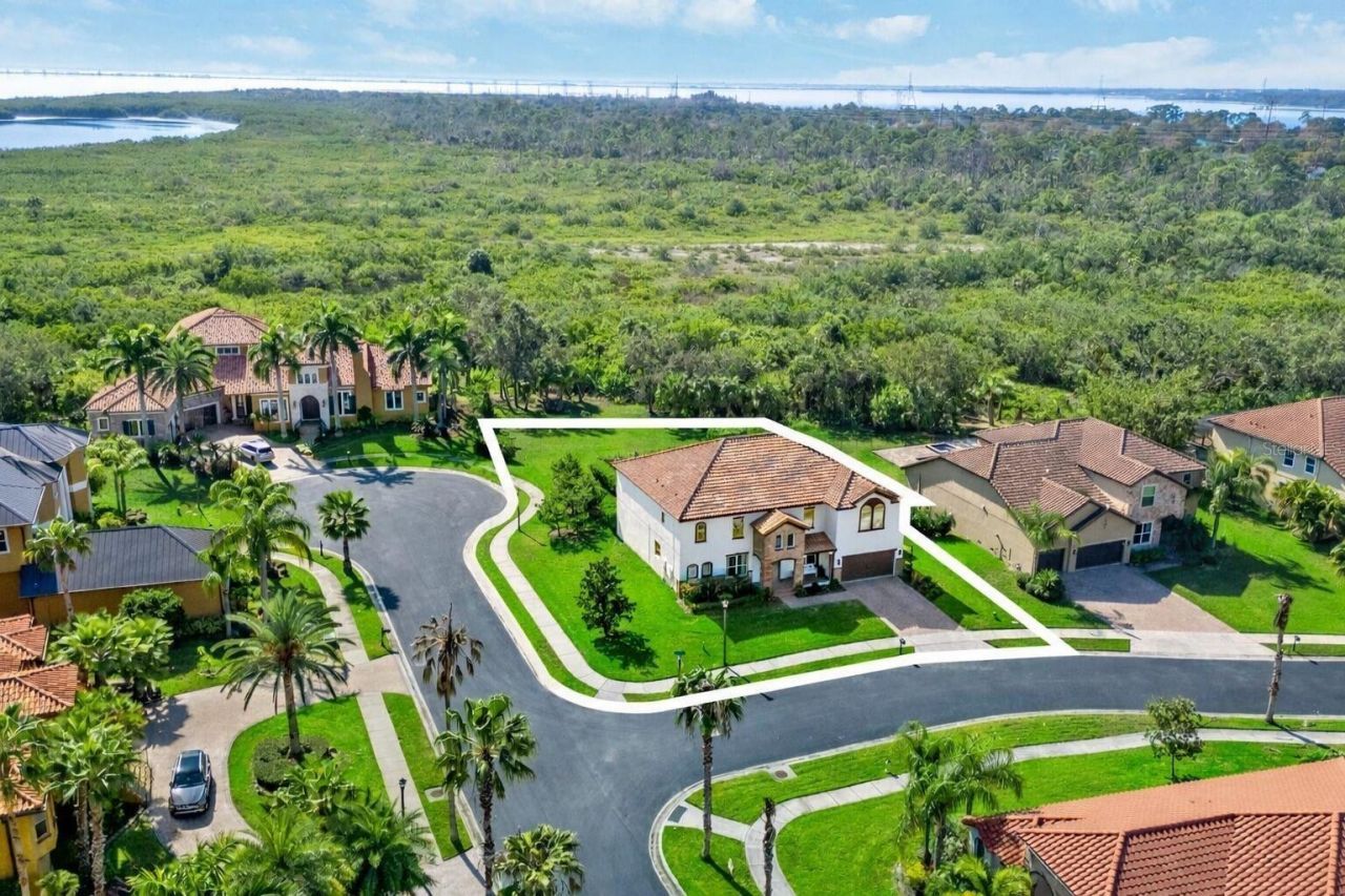 302 Coco Plum Court, Oldsmar, FL 34677 Photo