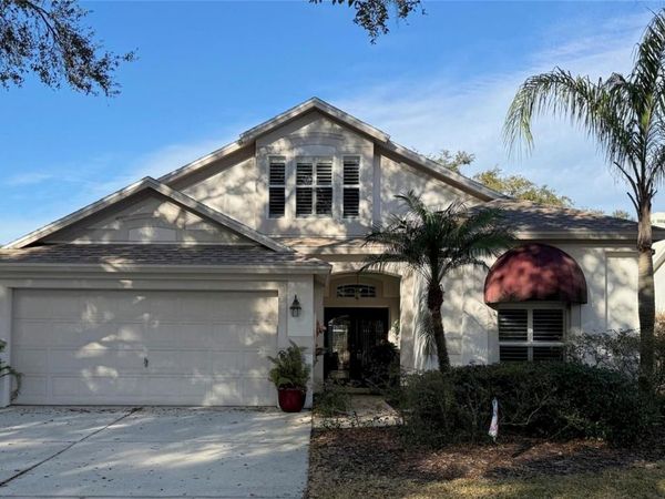 10317 TARRAGON DRIVE , RIVERVIEW, FL 33569