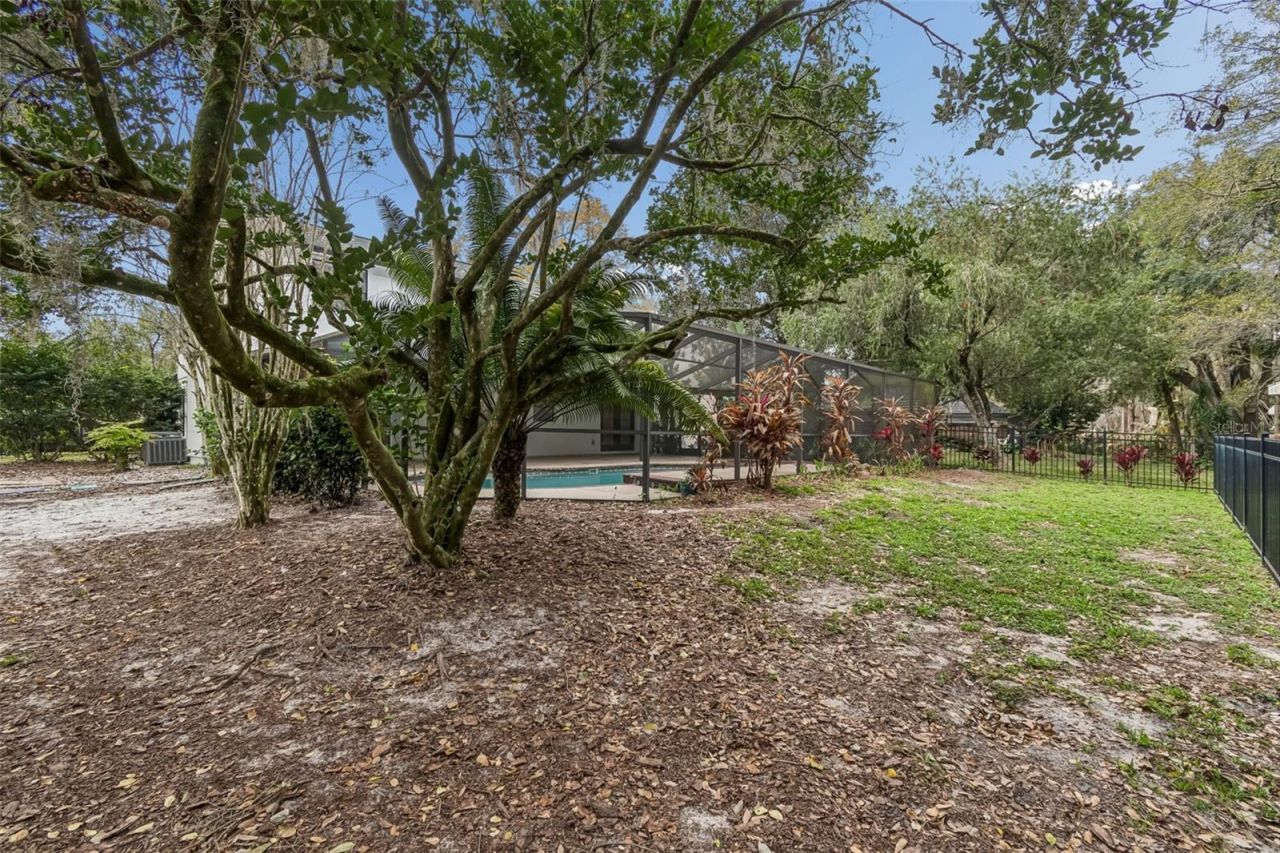 4323 Honey Vista Circle, Tampa, FL 33624 Photo