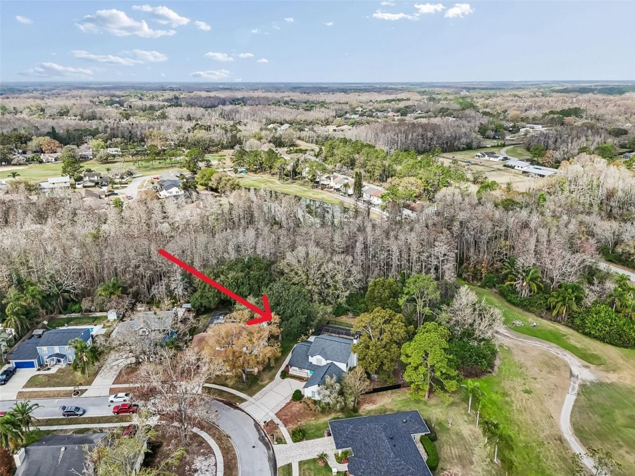 4323 Honey Vista Circle, Tampa, FL 33624 Photo